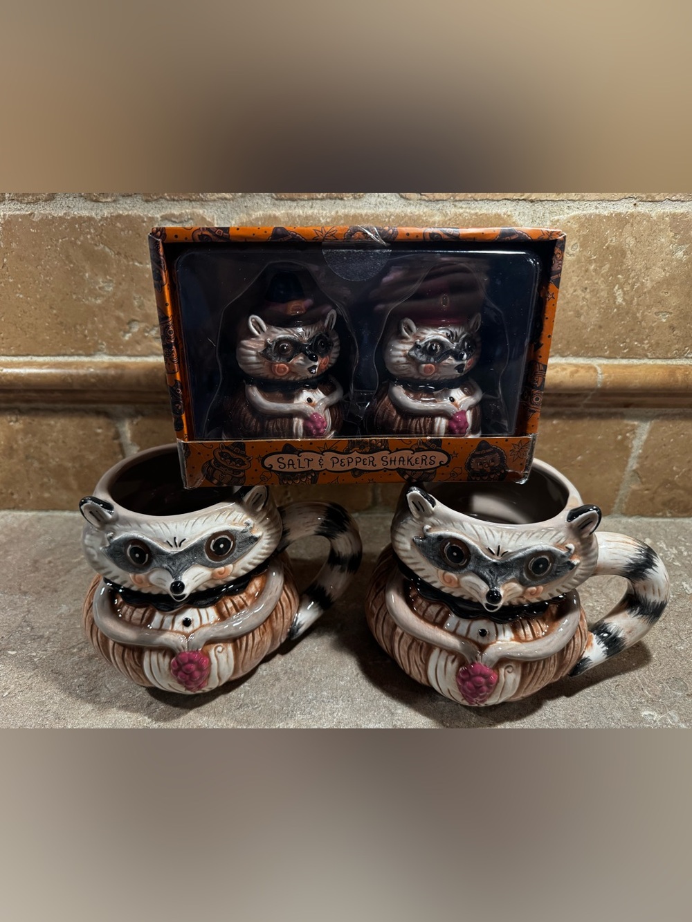 Whimsical Raccoon Ceramic Salt & Pepper Shaker Set - Brown and Mugs NEW